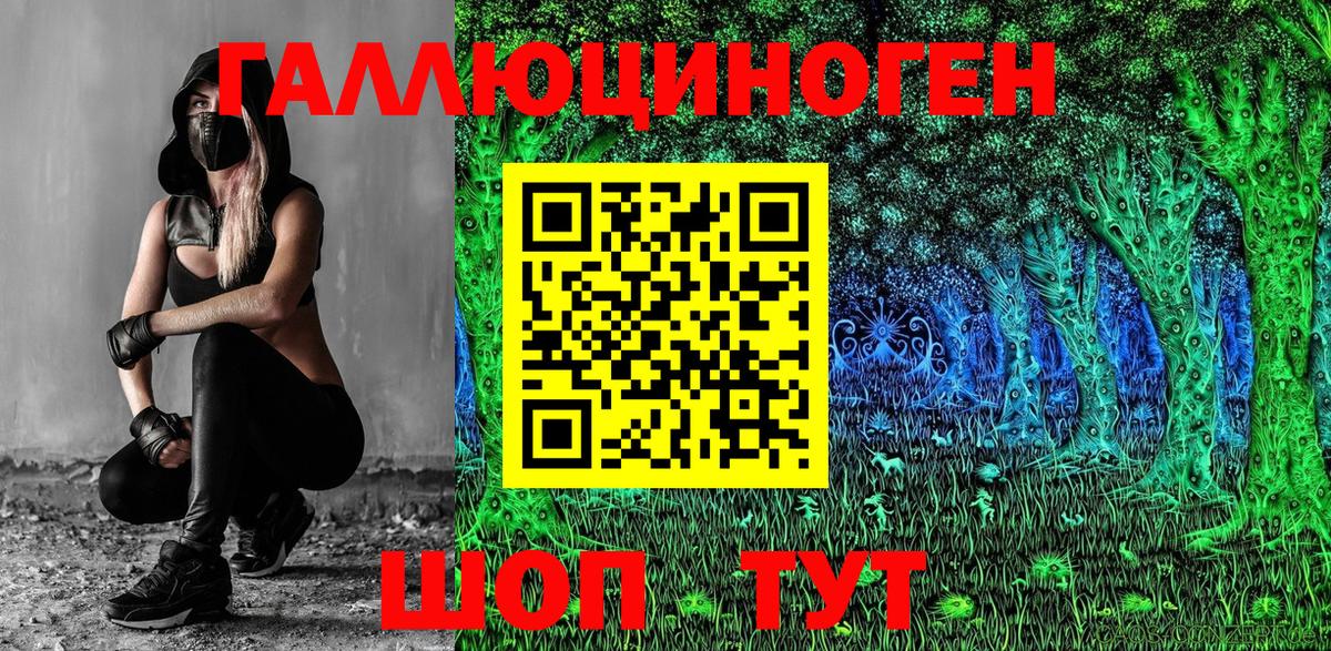 Знаменск  Псилоцибиновые грибы мицелий  Вход с VPN 